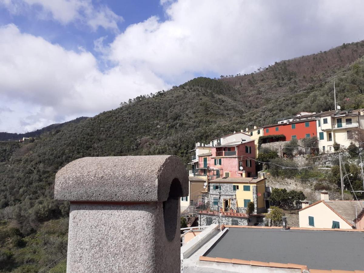 Vignana Con Terrazzo Lejlighed Levanto Eksteriør billede