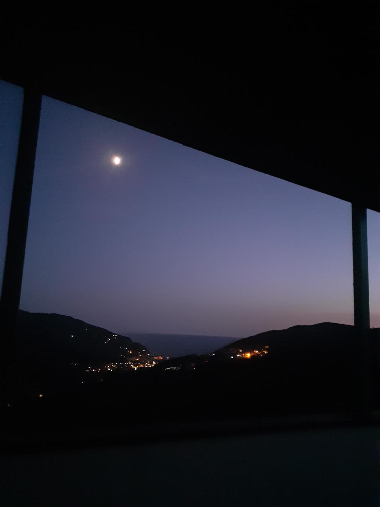 Vignana Con Terrazzo Lejlighed Levanto Eksteriør billede